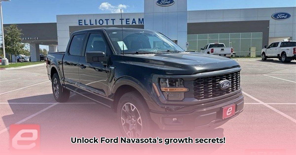 team-ford-navasota-tx